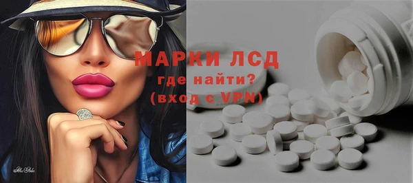 прущие грибы Белокуриха