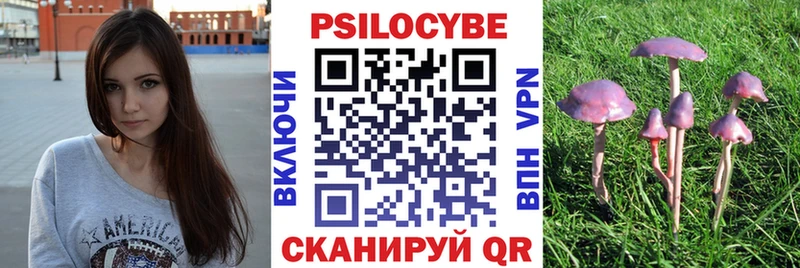 МЕГА ссылки  где можно купить   Новый Уренгой  darknet телеграм  Галлюциногенные грибы Psilocybe 