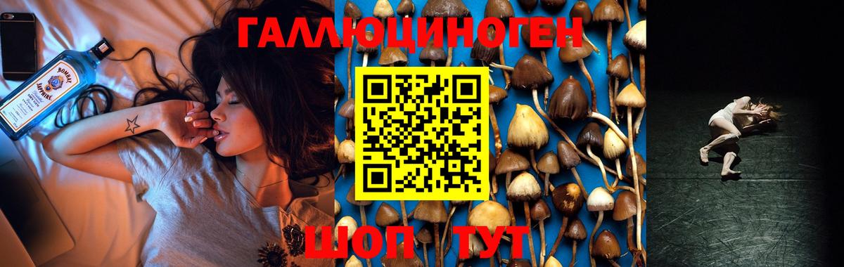 Новый Уренгой  Галлюциногенные грибы MAGIC MUSHROOMS  Вход с VPN 